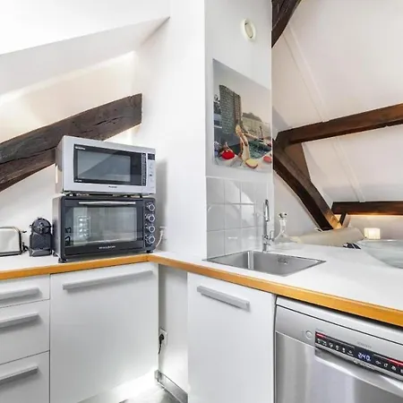 Appartement On The Rooftops Of - Marais *