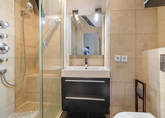 On The Rooftops Of - Marais Paris